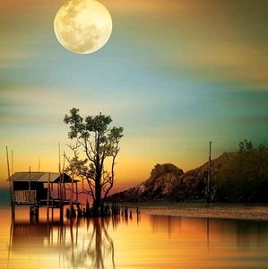 Meet your Posher, Jen